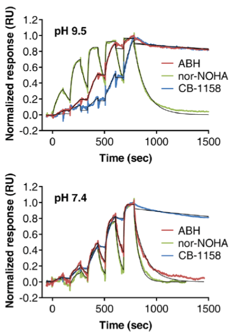 Arginase-NTRC-ResidenceTimer