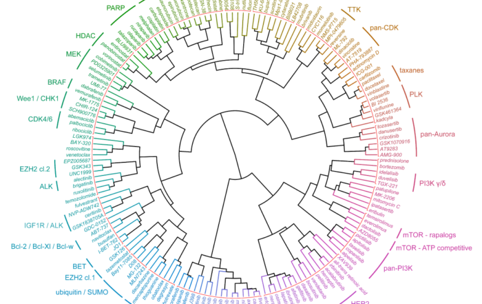 OncolinesProfiler Clusters