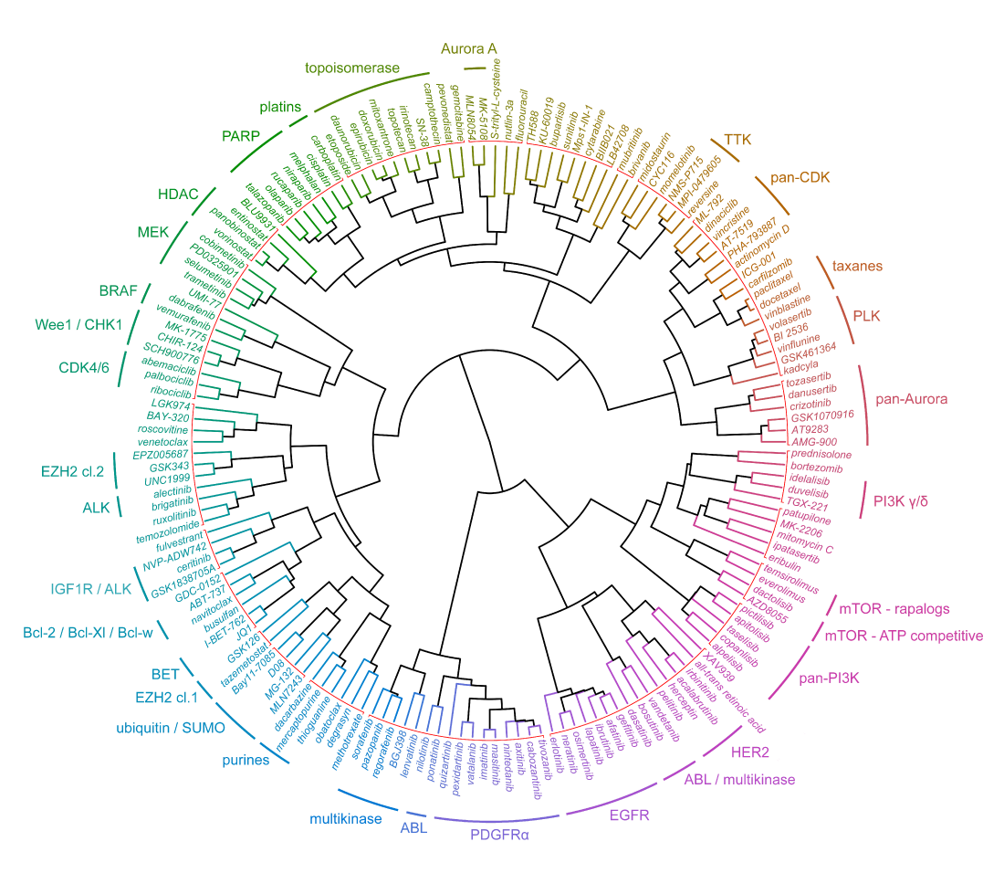 OncolinesProfiler Clusters