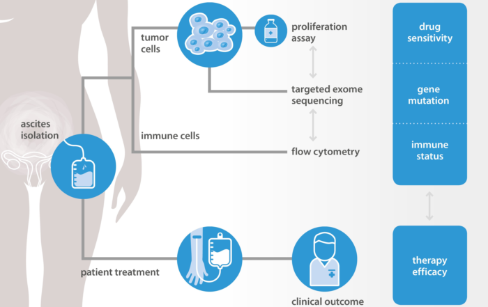 graphic NTRC and Radboud explore new methods to predict chemotherapy response in ovarian cancer