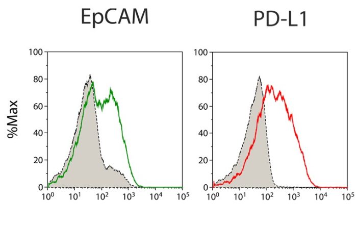 FACS flow cytometry Protein Expression EpCAM PD L1 On Primary Material