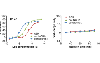 The figure illustrates results for the Arginase Gold assay technology, for measuring inhibition of Arginase 1 inhibitors