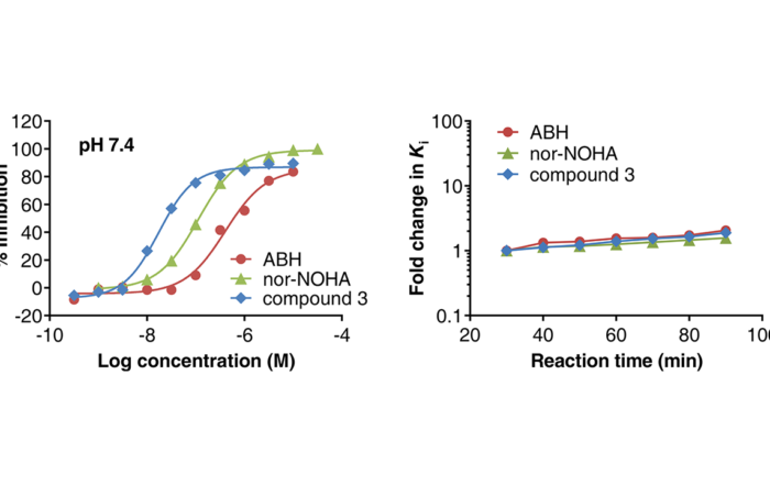 The figure illustrates results for the Arginase Gold assay technology, for measuring inhibition of Arginase 1 inhibitors