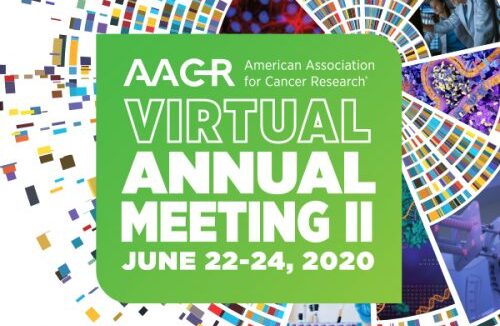 logo AACR 2020 virtual meeting. NTRC presents a poster on High TDO and IDO1 expression in ovarian cancer-associated cells isolated from malignant ascites