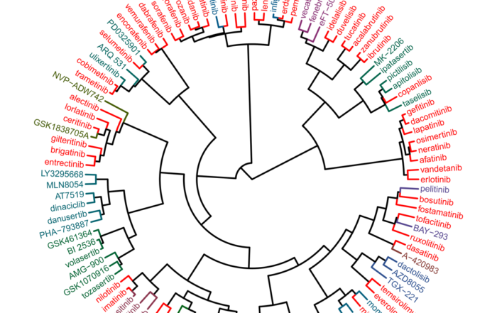 NTRC DoT20 Clustering Of Kinase Inhibitors Web