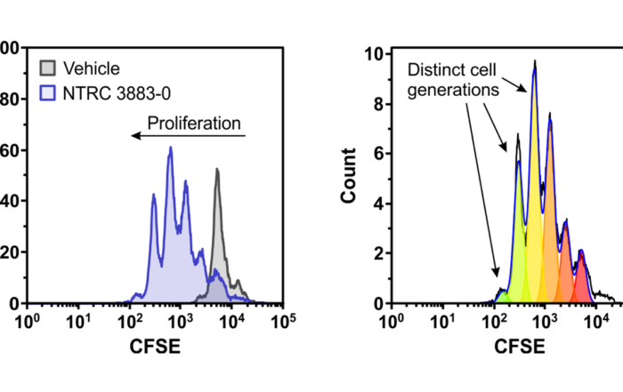 Featured image co-culture assay for paper Grobben et al (2021) Frontiers in Immunology