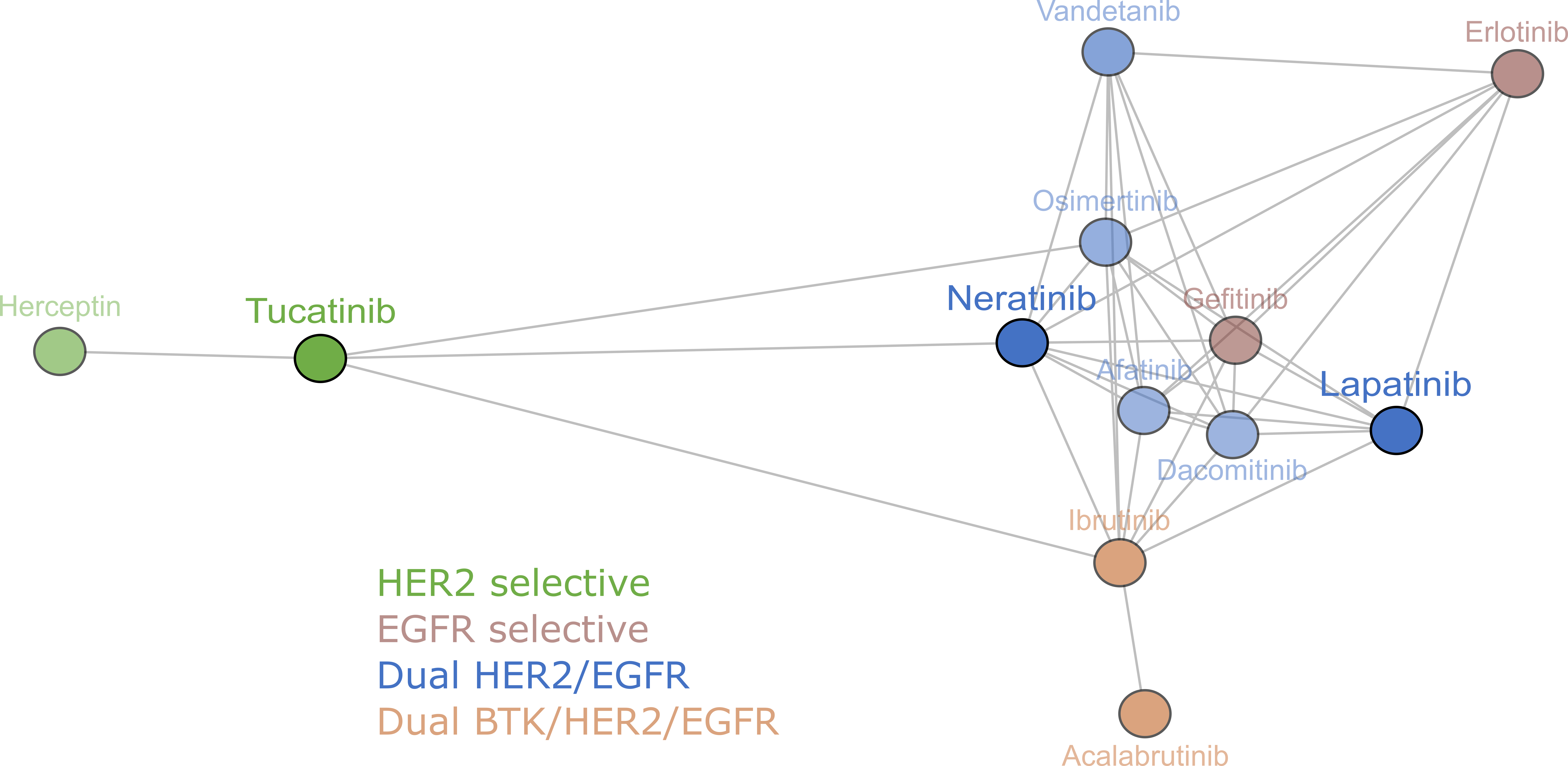 Clustering network HER2 inhibitors Clustering analysis_paper Conlon et al. (2021) BJC