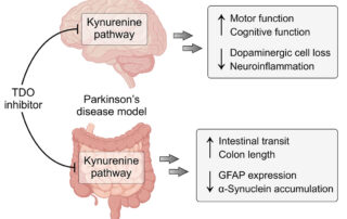 TDO is a novel therapeutic target for Parkinson’s disease