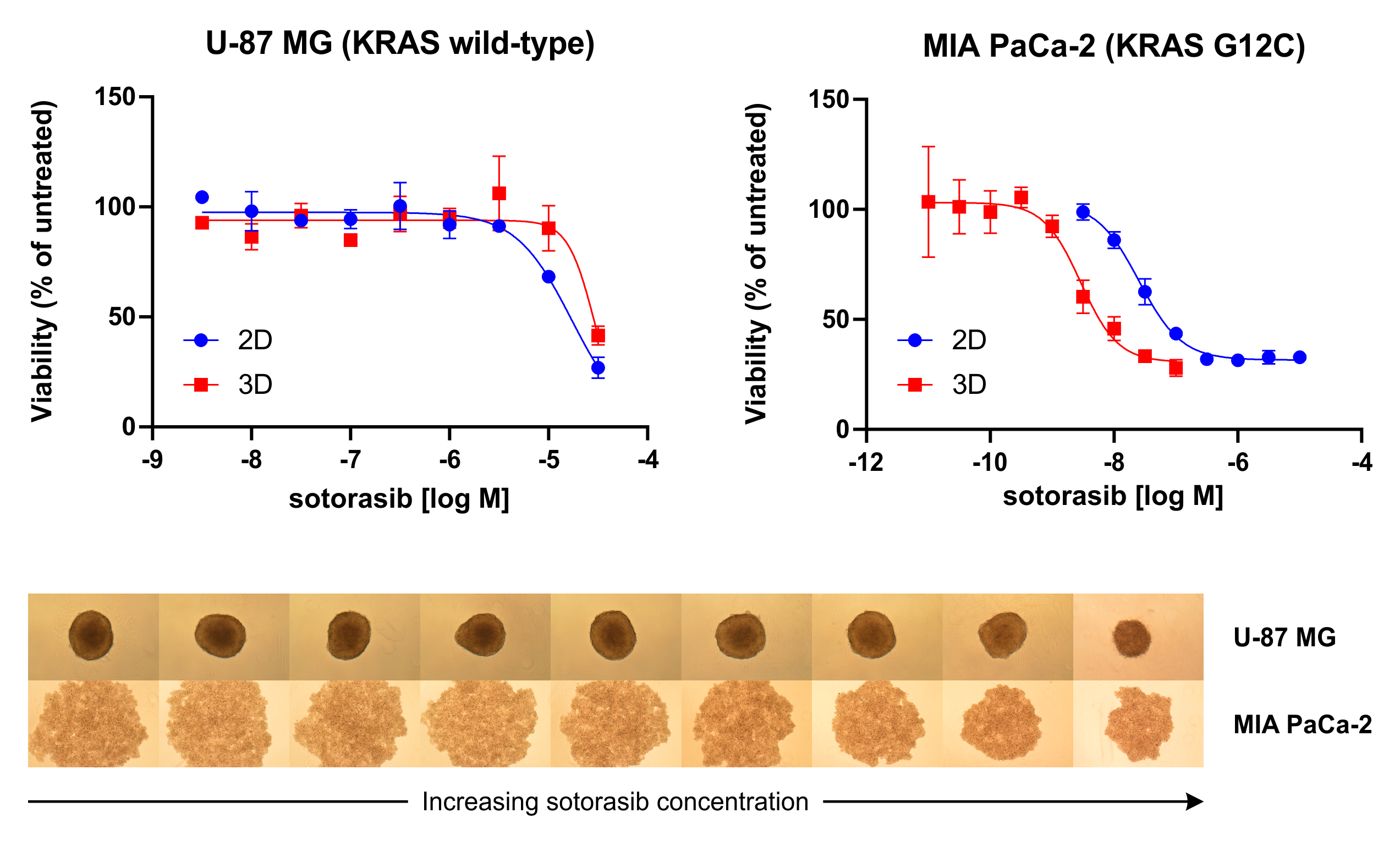 Altered drug response in 3D spheroids