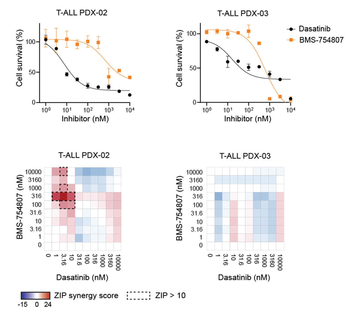 Dose Response Curves Of Src Family Kinase Inhibitor Dasatinib And Insulin Receptor Inhibitor BMS 754807 And Combination Matrix In Two T ALL Patient Derived Xenografts (PDX) Ex Vivo 1200px