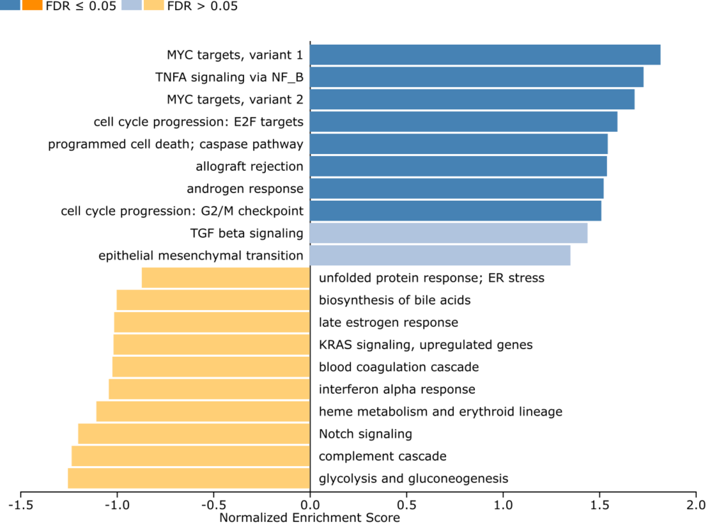 GSEA Plot