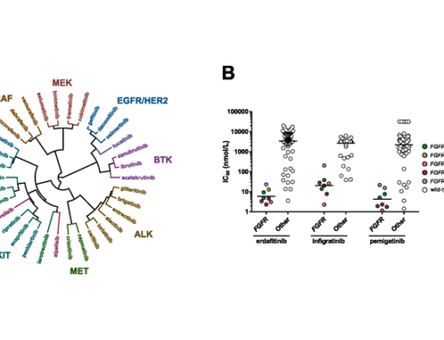 New in Frontiers in Oncology: comparative profiling study of newly approved kinase inhibitors