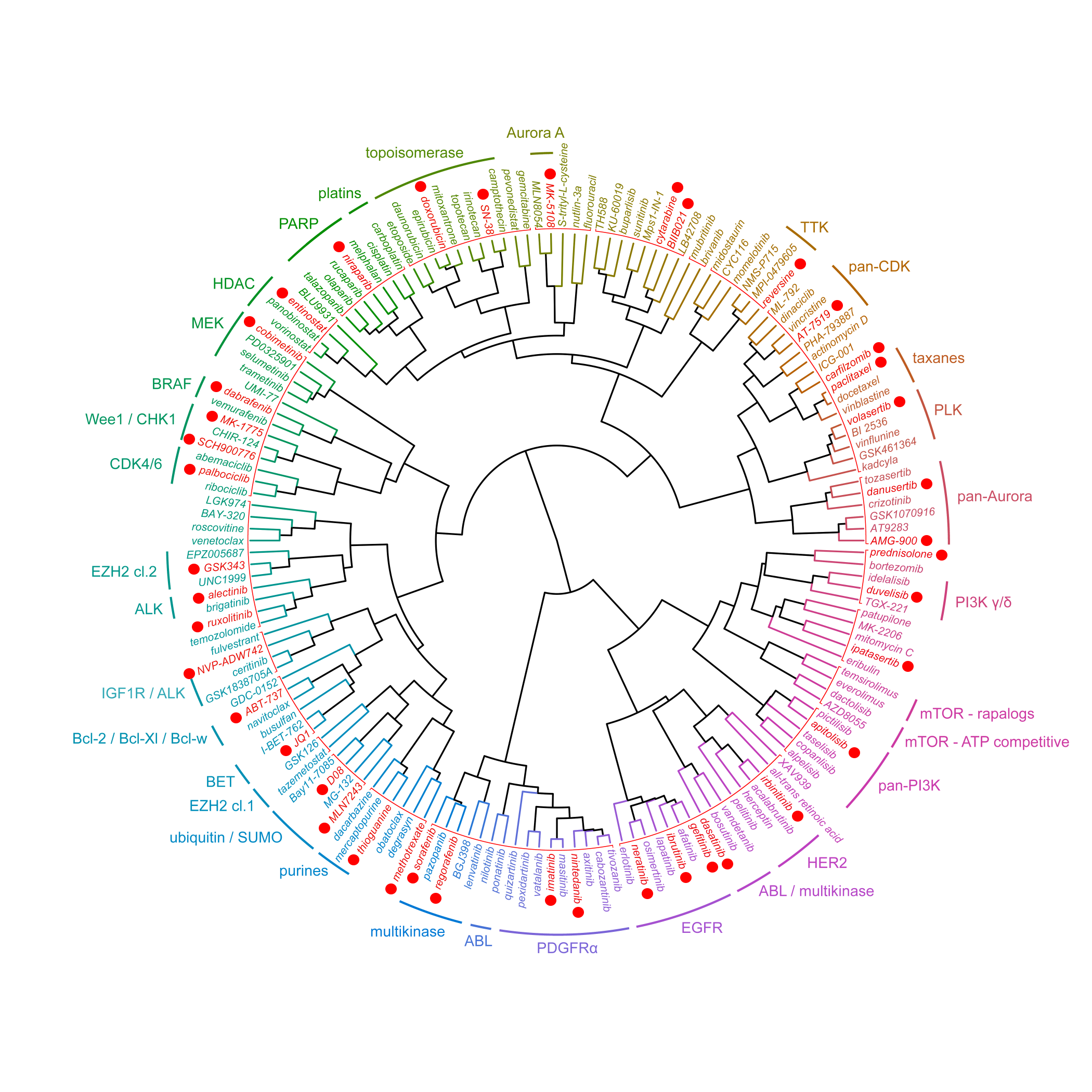 Combination index analysis (CI) for the combination of a PI3-kinase and MEK inhibitor. Circles represent experimentally determined CI values (Chou Talalay method).