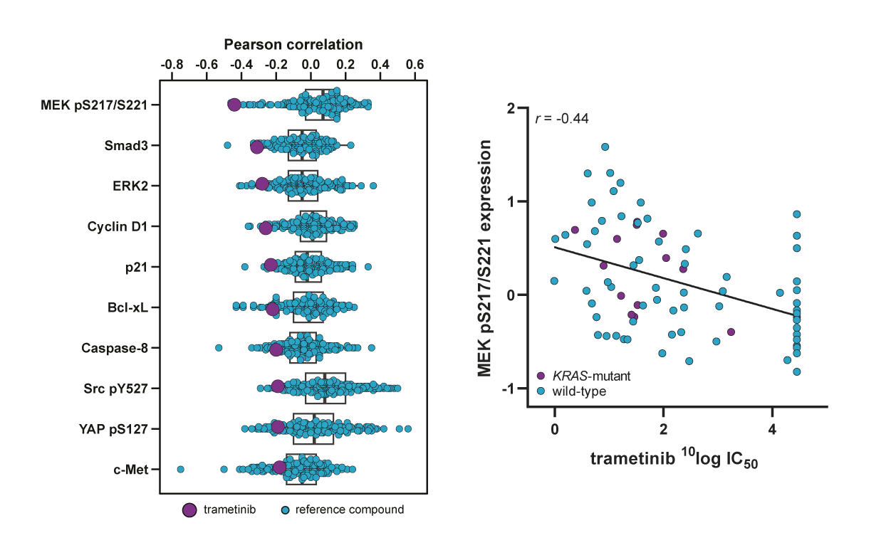 Pearson Correlation