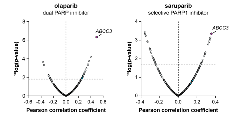 Correlation of gene expression with cell line sensitivity