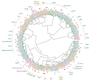 Combination index analysis (CI) for the combination of a PI3-kinase and MEK inhibitor. Circles represent experimentally determined CI values (Chou Talalay method).