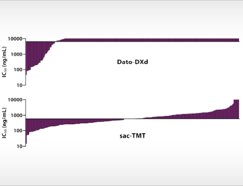 Understanding drug activity and resistance through broad cancer cell line profiling