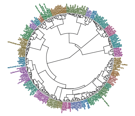 Hierarchical clustering wheel