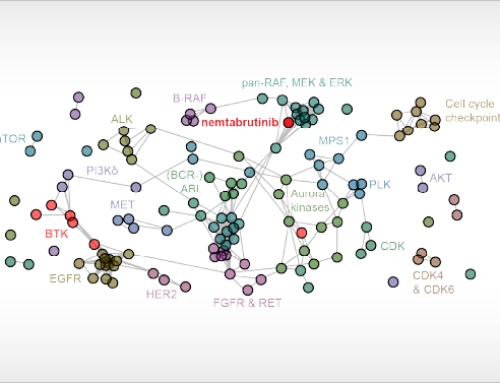 Potential application of BTK inhibitor nemtabrutinib in MAPK-driven cancers