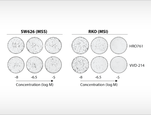 Evaluation of cellular sensitivity to WRN inhibition using the colony-forming unit assay