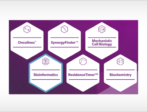 Introducing our customized bioinformatics services